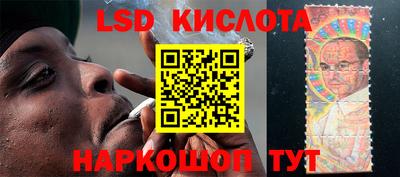 PSILOCYBIN Донской