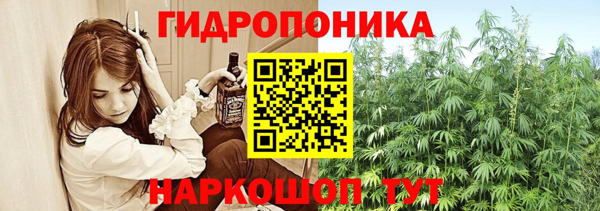Бошки марихуана Ganja  Вход с VPN  Москва  Канабис White Widow 